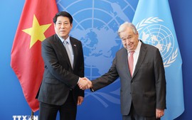 联合国秘书长：越南是多极世界的支柱之一