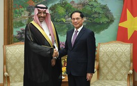 裴青山副总理会见沙特工业和矿产资源部长