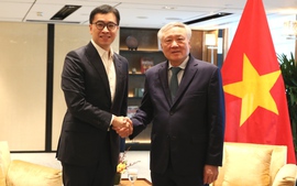 阮和平副总理会见大华银行副董事长