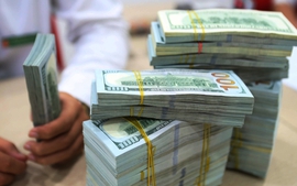 2025年胡志明市侨汇收入逾100亿多美元