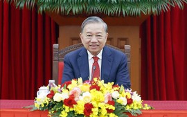 越共中央总书记苏林与古共中央第一书记、古巴国家主席通电话