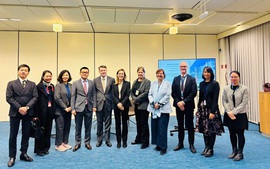 越南呼吁各国尽快签署并批准《河内公约》