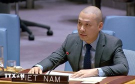 越南愿为加沙地带和平与重建进程作出应有贡献