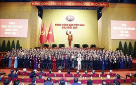 越共中央政治局对第十四届中央政治局委员进行分工，安排10位委员参加第十四届中央书记处工作