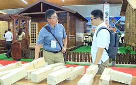 越日贸易额首次突破500亿美元