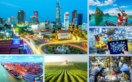 越南发展成就获得国际社会广泛认可