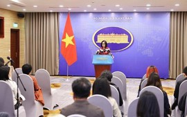 越南外交部发言人：越南支持对边主义