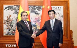 越南国会主席陈青敏会见中国全国政协主席王沪宁