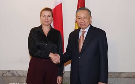 越共中央总书记、国家主席苏林与丹麦首相梅特·弗雷泽里克森举行会谈