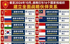 越南与16个国家和组织建立全面战略伙伴关系