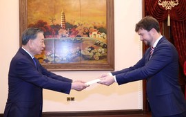 总书记、国家主席苏林外国新任驻越大使递交国书