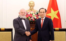 越南外交部部长黎怀忠会见捷克驻越南大使