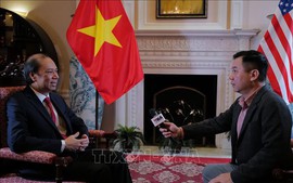 越南将积极、主动参加解决国际和地区共同问题