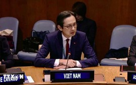 《东南亚友好合作条约》签署50周年座谈会在纽约举行