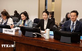 越南在联合国消除对妇女歧视委员会对话会重申其地位