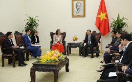 越南和联合国开发计划署、世界卫生组织合作改善空气质量