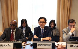 《不扩散核武器条约》第十一次审议大会进行磋商