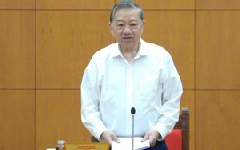 苏林总书记：须制定经济重组的具体战略和步骤