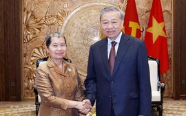 苏林总书记会见柬埔寨祖国发展团结阵线国家委员会主席