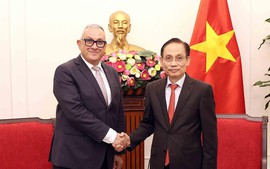 越南外交部部长黎怀忠与欧盟国际关系事务委员约瑟夫·西克拉举行会谈