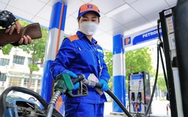 能源安全：重启乙醇工厂 服务生物汽油转换路线图