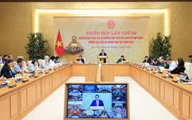 范明政总理：下决心解除IUU的黄牌警告，促进渔业可持续发展