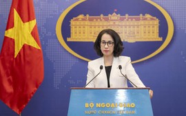 越南反对使用武力攻击主权国家