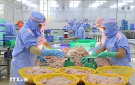 2026年前两月越南农林水产品出口额同比增长17.1%