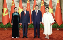 越共中央总书记、越南国家主席苏林与中共中央总书记、中国国家主席习近平举行会谈