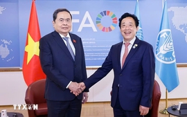 越南国会主席陈青敏会见联合国粮农组织总干事屈冬玉