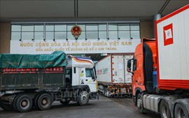 推动越中贸易合作增长的新动力