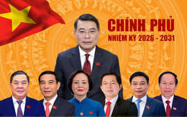 越南政府总理和副总理分工决定