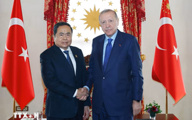 越南国会主席陈青敏会见土耳其总统雷杰普·塔伊普·埃尔多安