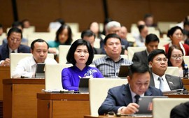 国会继续讨论未来5年经济社会发展计划