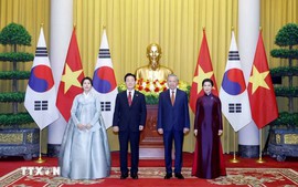 越共中央总书记、国家主席苏林同韩国总统李在明举行会谈