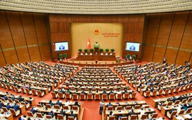 今（7）日，国会进行选举国家主席、政府总理