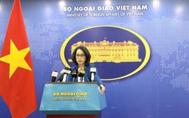 越南外交部发言人：要求有关各方尊重越南对长沙群岛的主权