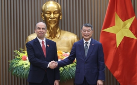 越南政府总理黎明兴会见古巴驻越大使
