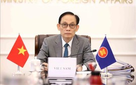 越南将为东盟—俄罗斯关系纪念峰会的成功贡献力量