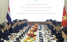 越共中央总书记、国家主席苏林同泰国总理阿努廷·参威拉军举行会谈