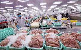 越南水产品出口保持增长势头，拟实现出口额达120亿美元目标