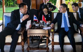 黎明兴总理会见泰国总理阿努廷