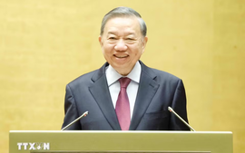 总书记、国家主席苏林出席贯彻落实越共十四大对外路线的第06号决议全国会议