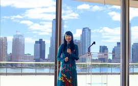 越南代表首次获选国际海洋法法庭法官