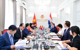 越南—荷兰外交部副部长级第二次政治磋商在越南举行