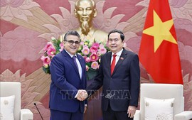 深化越南巴勒斯坦传统友好关系