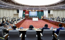 越南同中国、老挝及缅甸开展大规模跨国缉毒行动