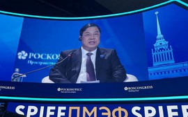 越南政府常务副总理范嘉足在第二十九届圣彼得堡国际经济论坛上提出三大合作方向