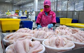 中国成为越南水产品最大出口目的地