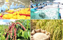 2026年6月，越南农林水产品出口金额同比增长10%